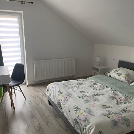 Apartamenty - Pod Wierzbami Dwikozy エクステリア 写真