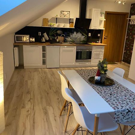 Apartamenty - Pod Wierzbami Dwikozy エクステリア 写真