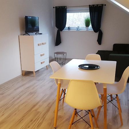 Apartamenty - Pod Wierzbami Dwikozy 部屋 写真