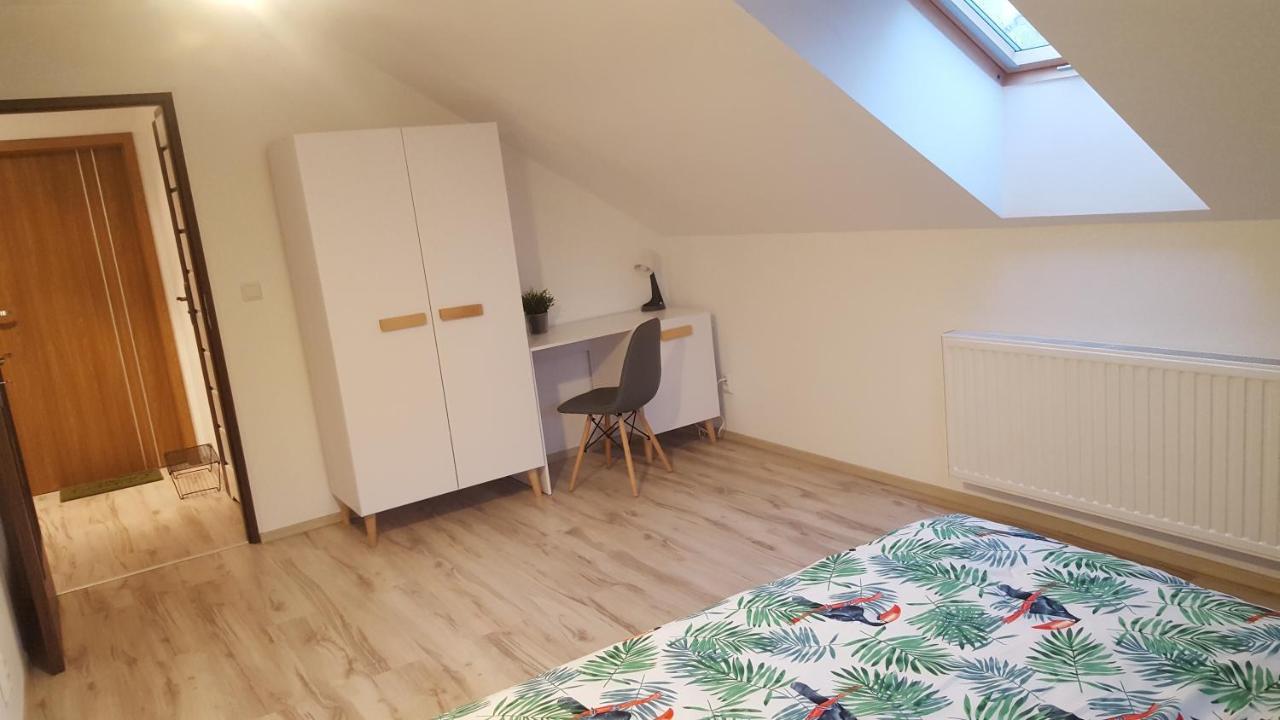 Apartamenty - Pod Wierzbami Dwikozy エクステリア 写真