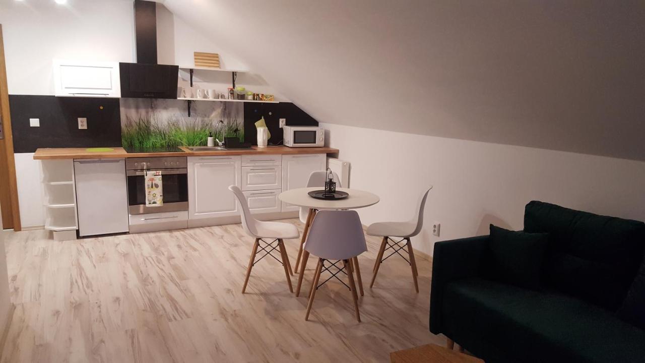 Apartamenty - Pod Wierzbami Dwikozy エクステリア 写真