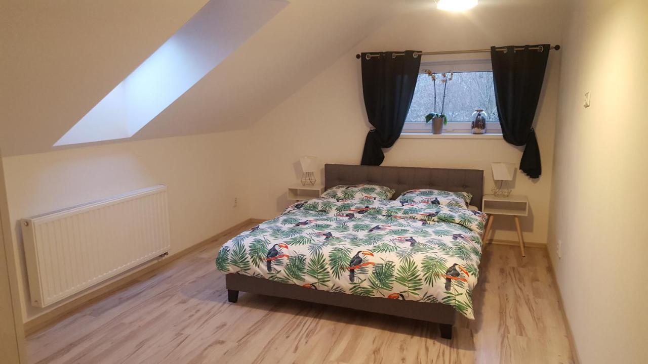 Apartamenty - Pod Wierzbami Dwikozy エクステリア 写真