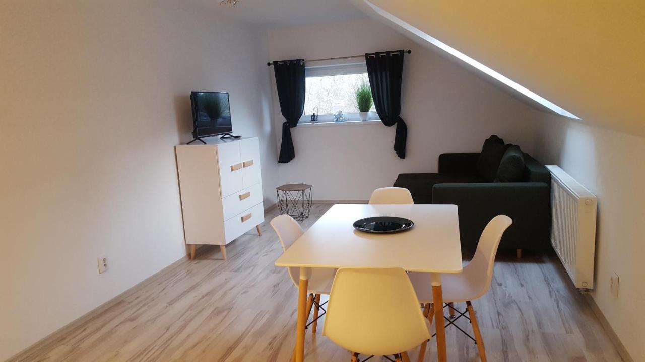 Apartamenty - Pod Wierzbami Dwikozy エクステリア 写真