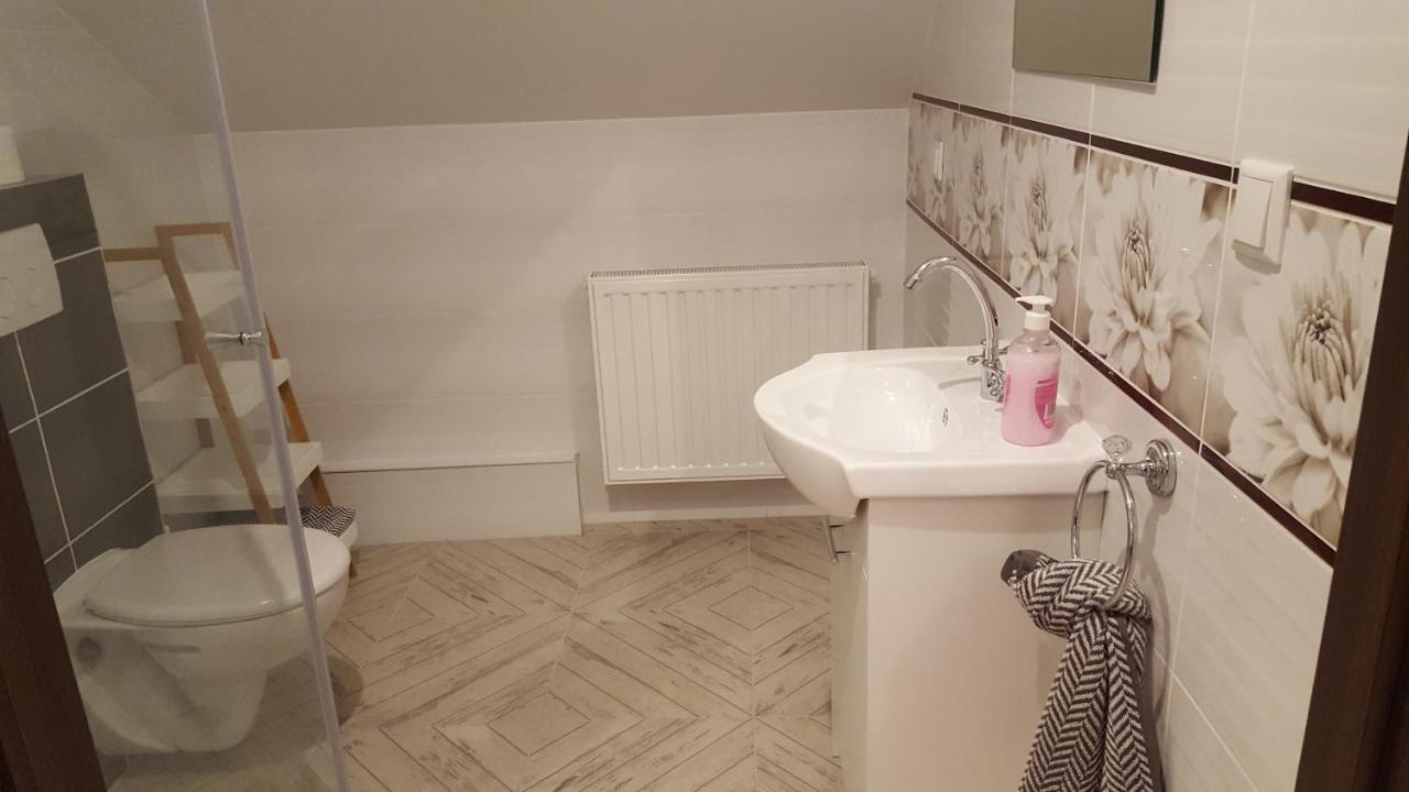 Apartamenty - Pod Wierzbami Dwikozy エクステリア 写真