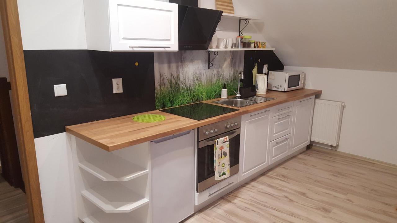 Apartamenty - Pod Wierzbami Dwikozy エクステリア 写真