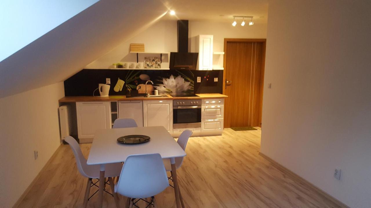 Apartamenty - Pod Wierzbami Dwikozy エクステリア 写真