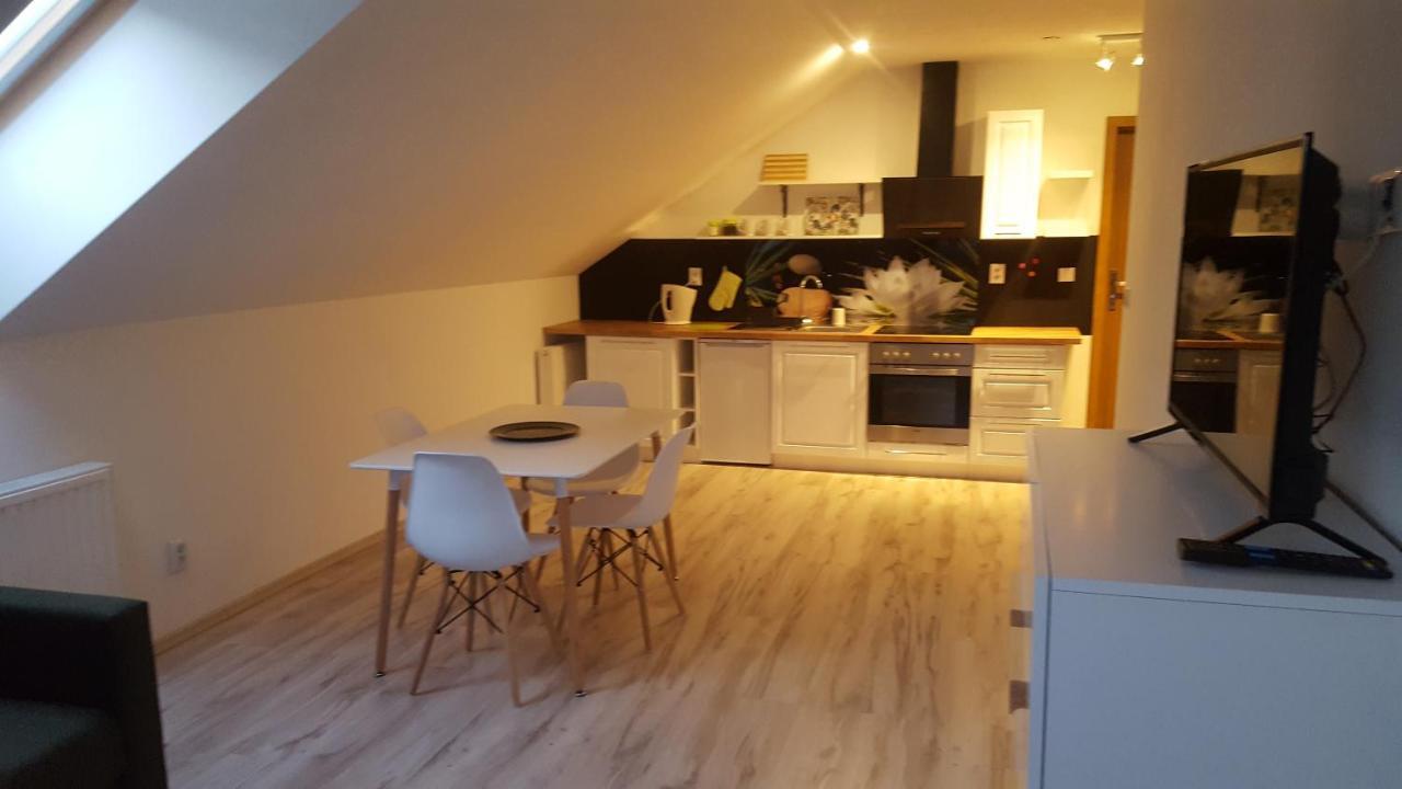 Apartamenty - Pod Wierzbami Dwikozy エクステリア 写真