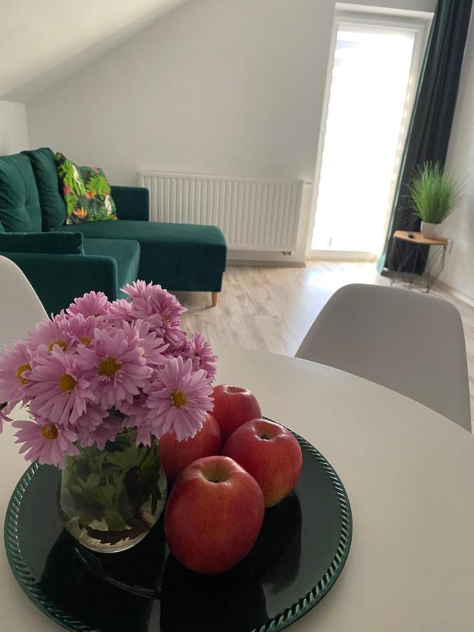 Apartamenty - Pod Wierzbami Dwikozy エクステリア 写真
