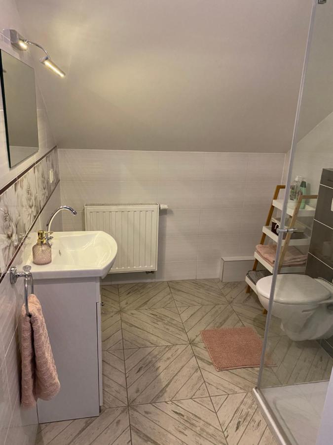Apartamenty - Pod Wierzbami Dwikozy エクステリア 写真