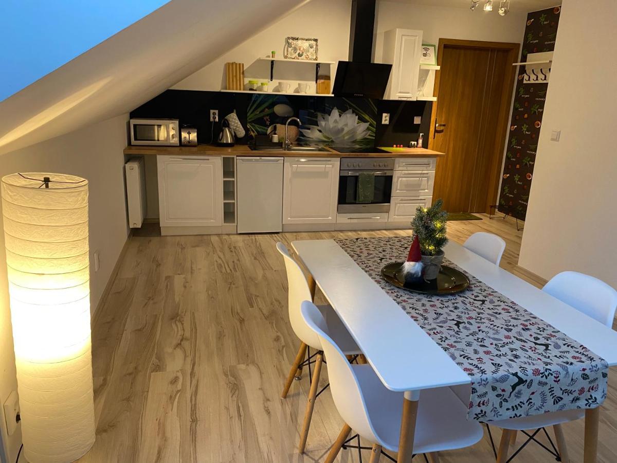 Apartamenty - Pod Wierzbami Dwikozy エクステリア 写真