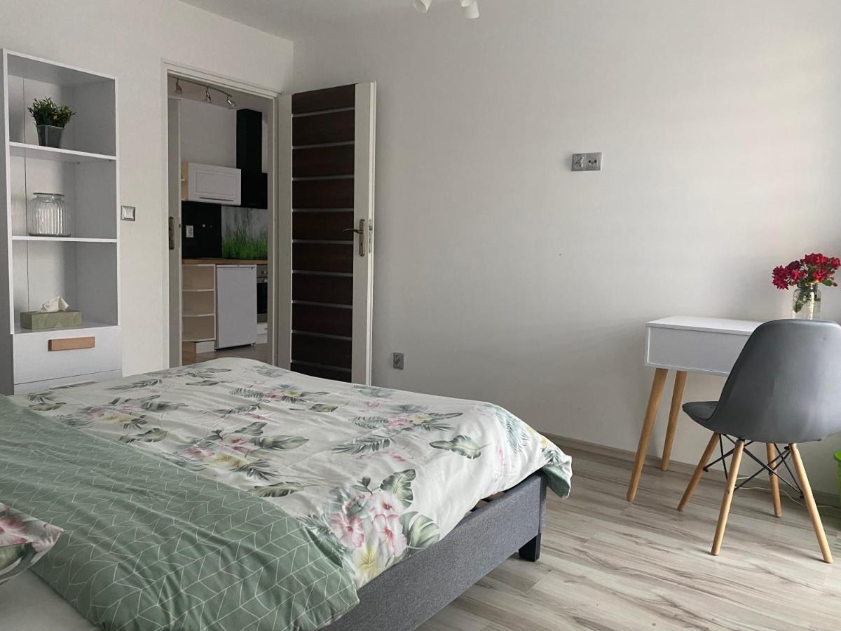 Apartamenty - Pod Wierzbami Dwikozy エクステリア 写真