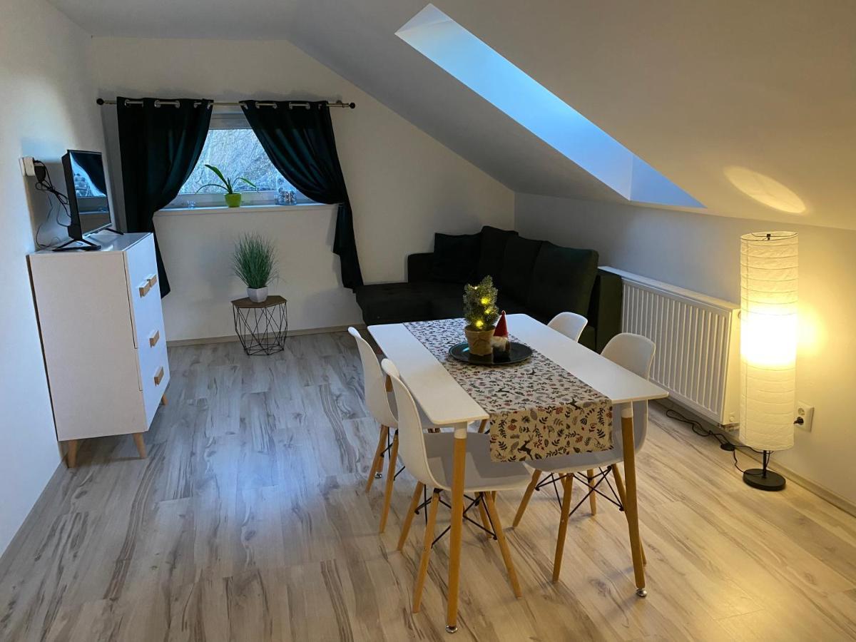 Apartamenty - Pod Wierzbami Dwikozy エクステリア 写真