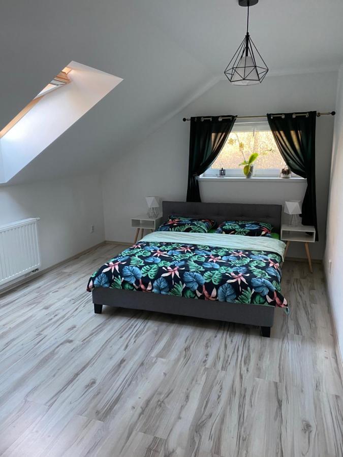Apartamenty - Pod Wierzbami Dwikozy エクステリア 写真